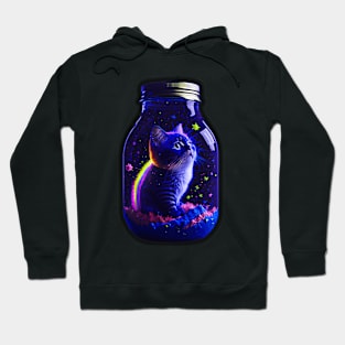 Galaxy environment capturing A whimsical, a small kitty Hoodie